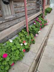 IMG_20250928_142857.jpg