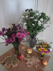IMG_20250920_123252.jpg