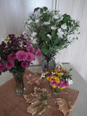 IMG_20250920_122938.jpg