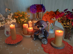 IMG_20251002_173900.jpg