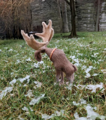 IMG_20251126_095832.jpg (343.33 КБ) 1545 просмотров #элегантный лось