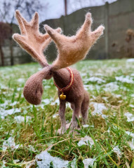 IMG-20251126-WA0003.jpg (281.86 КБ) 1545 просмотров #элегантный лось