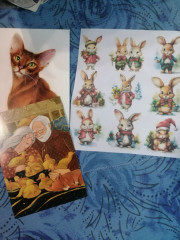 жанна -nisana (1).jpg