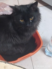 И дачный урожай Семен