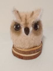 Фил 1_1 результат.jpg