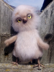 IMG_20220415_123454.jpg (115.14 КБ) 24406 просмотров #первые птички