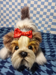 IMG_20220312_204919.jpg (180.84 КБ) 4484 просмотра МК Татьяны Коротких