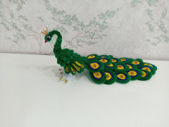 IMG_20260224_082835.jpg