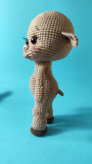 photo_2026-02-26_15-39-22 (5).jpg