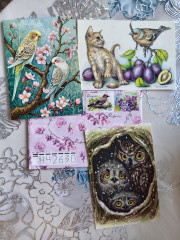IMG_20260519_141259.jpg