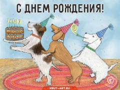 IMG_4942.jpeg