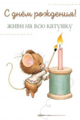 IMG_4963.jpeg