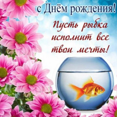 IMG_4986.jpeg