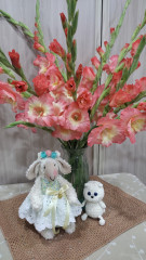 IMG_20260727_233623.jpg
