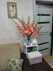 IMG_20260727_235425.jpg