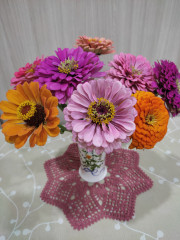 IMG_20260727_234359.jpg