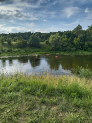 IMG_20260723_163024.jpg