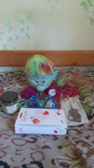 20260731_110852.jpg