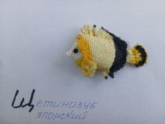 Щ-щетинозуб японский.jpg