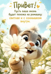 IMG_20260815_235741_833.jpg