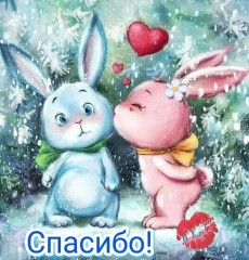 в (2).jpg