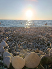 IMG_20260911_175644.jpg