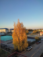 IMG_20260930_072456.jpg