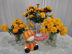 IMG_20261005_225509.jpg