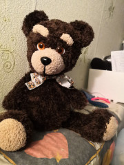 IMG_20220109_183227.jpg (202.51 КБ) 5027 просмотров Мишка по мк Наташи Кутышевой