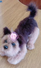 IMG_20220221_133450.jpg (199.43 КБ) 5529 просмотров Это мои собаки, спасибо Татьяне Коротких