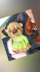 1645965128189.jpg (166.15 КБ) 4765 просмотров Мой один из первых мишек в стиле Тедди