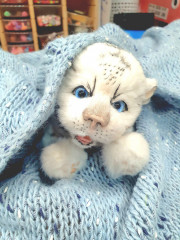 20220128_062933.jpg