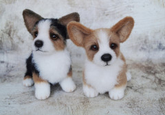 0.jpg (167.31 КБ) 5104 просмотра #коржик риччи