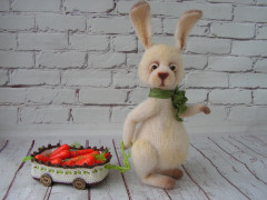 PICT0023.JPG