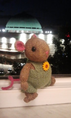 20160710_212411.jpg