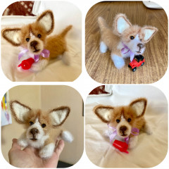 CEF68366-D67B-48DA-A69D-792A335D603A.jpeg (293.26 КБ) 5405 просмотров #коржик риччи