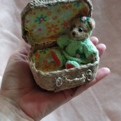 IMG_20220405_082259_175.jpg (209.74 КБ) 5384 просмотра МИА УЖЕ ГОТОВА К ПУТЕШЕСТВИЮ