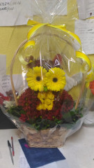 mi-feHb8wJw.jpg (153.59 КБ) 7557 просмотров Совушка из живых цветов