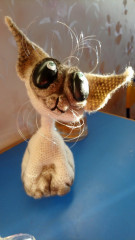 aI4RvDmRd9A.jpg (127.24 КБ) 6774 просмотра Сиамыш