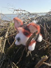 IMG_20220507_141517.jpg (237.62 КБ) 5516 просмотров Коржик Риччи, МК Татьяны Коротких