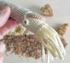 20220413_154548_edited.jpeg (67.79 КБ) 5651 просмотр Ископаемый моллюск<br />Связан крючком по МК Ксении Демидовой