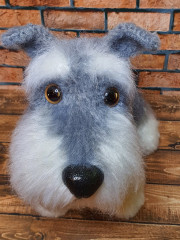 20220521_165908.jpg (281.46 КБ) 6072 просмотра #цвергшнауцер