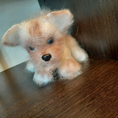 20220523_171437.jpg (324.04 КБ) 6168 просмотров Мой новый малыш