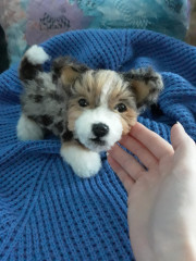 20220524_174523.jpg (208.39 КБ) 5323 просмотра #коржик Риччи