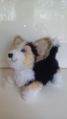 IMG_20220509_094651.jpg (113.65 КБ) 5271 просмотр #Коржик Риччи