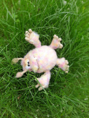 20220610_162646.jpg (264.49 КБ) 7526 просмотров #чудик горошек