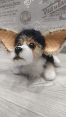 IMG_20220507_200657.jpg (93.11 КБ) 6214 просмотров #коржик Риччи