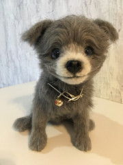 60852966-5EA6-4226-9D26-F5B6E33CAC02.jpeg (133.28 КБ) 4718 просмотров Моя улыбашка!