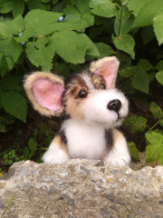 IMG_20220626_163559.jpg (275.88 КБ) 5756 просмотров # коржик риччи