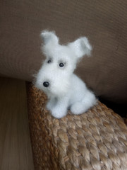 IMG_20220702_144222.jpg (212.18 КБ) 5655 просмотров #цвергшнауцер